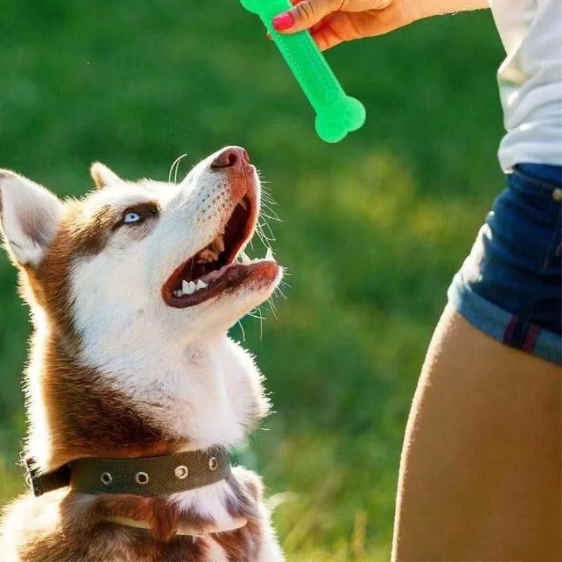 Teeth Cleaning Dog Chew Bone - Супер прочная жевательная игрушка для собачьей