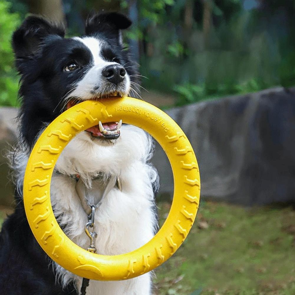 Suction Cup Dog Tug Toy - Прочная игрушка-кольцо для дрессировки средних и