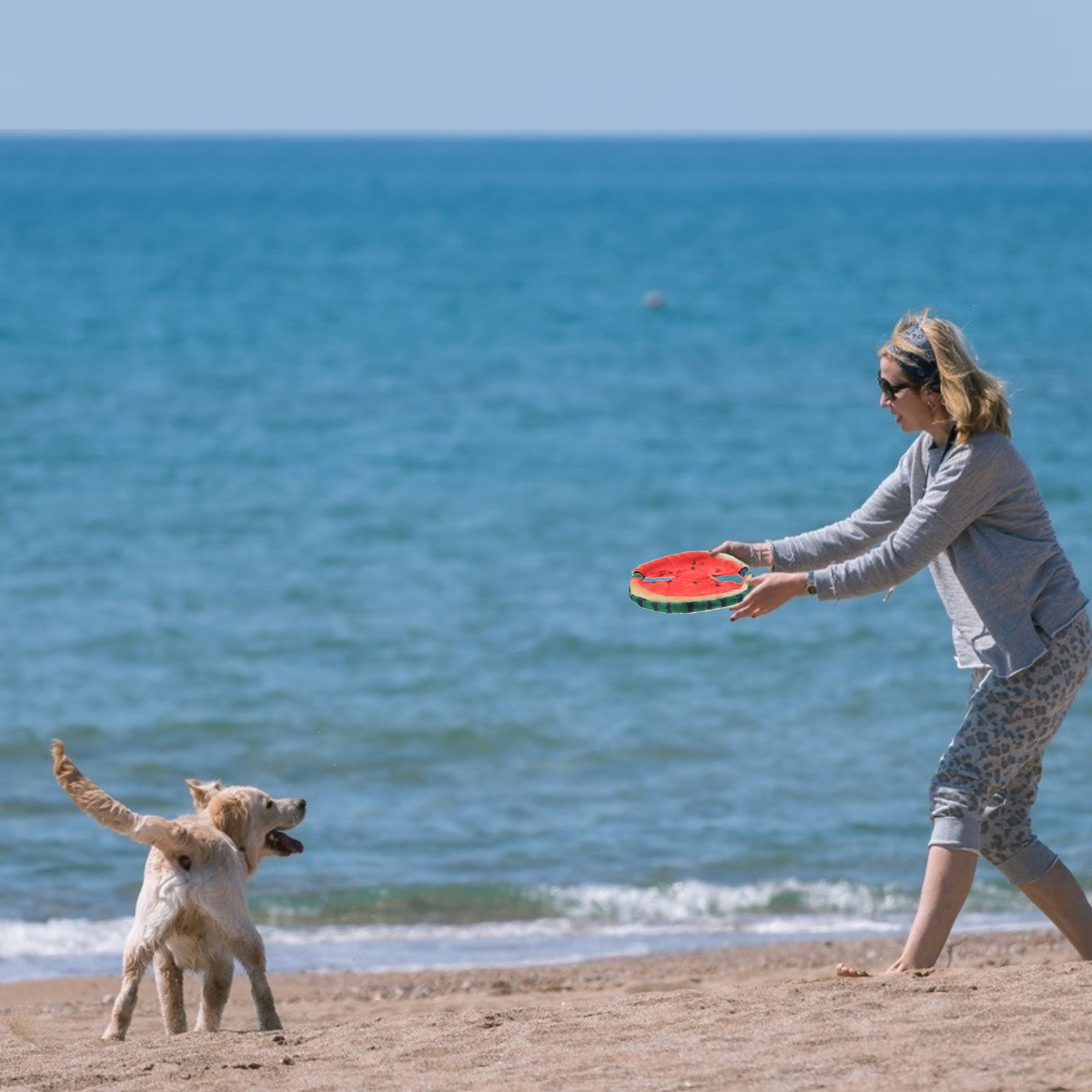 Flying Disc Dog Training Toy - Летающий диск для собак в форме
