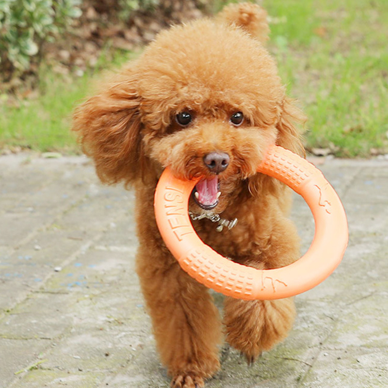 1 шт., рычаг-экшн для обучения – обзор и цена Indestructible Dog Chew Toy