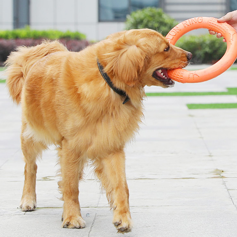 1 шт., рычаг-экшн для обучения – обзор и цена Indestructible Dog Chew Toy