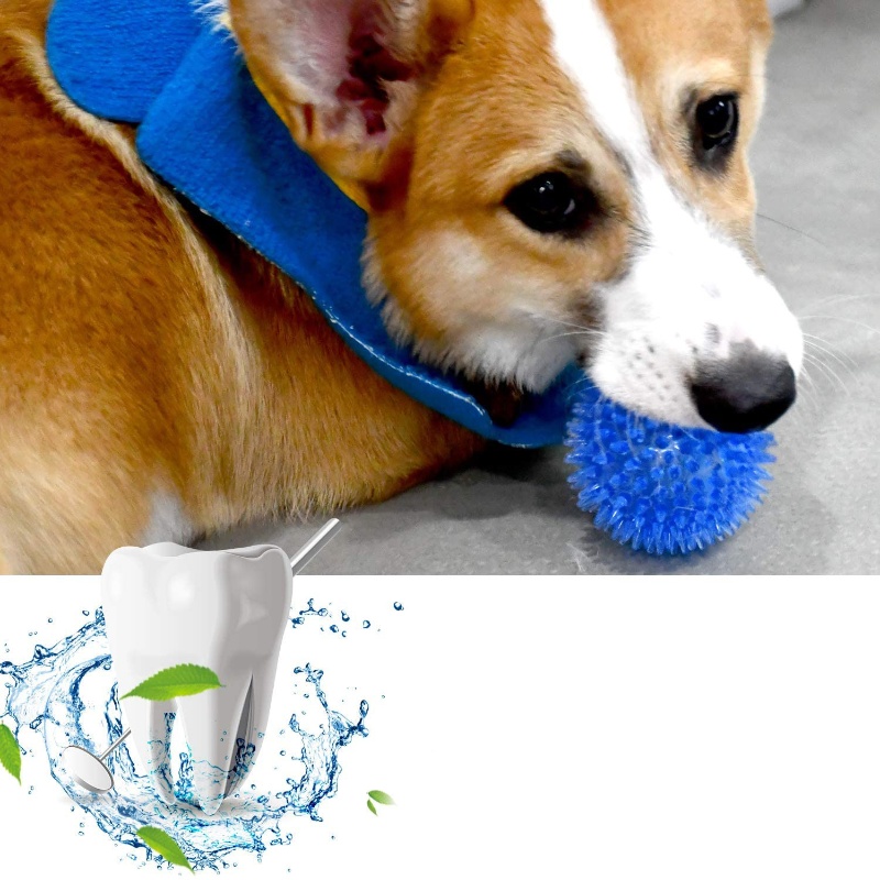 Игрушечный мяч для домашних жи – обзор и цена Indestructible Dog Chew Toy