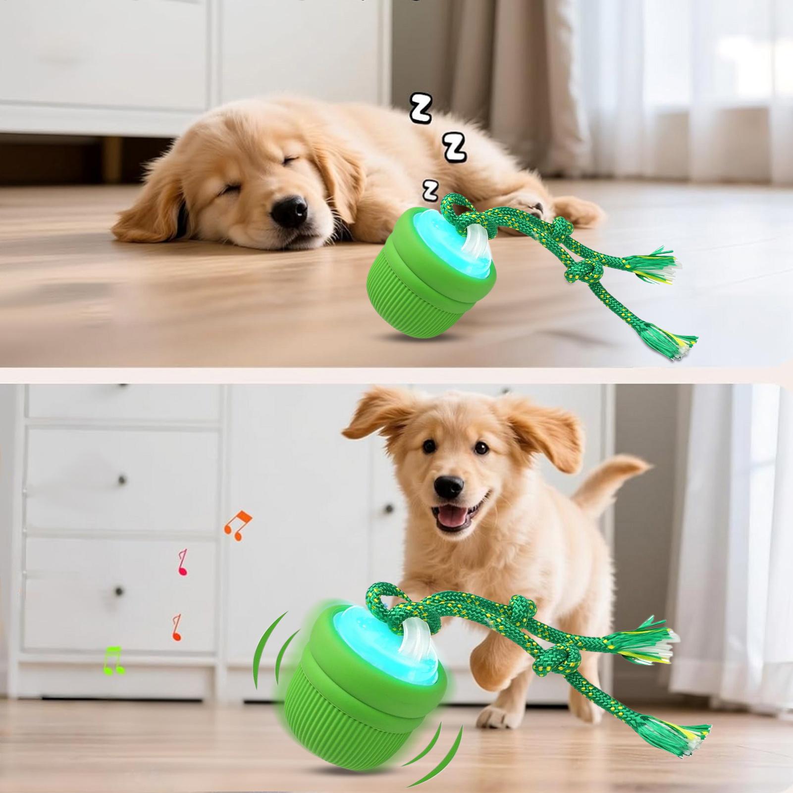Интерактивный мяч для собак, а – обзор и цена Automatic Moving Dog Ball