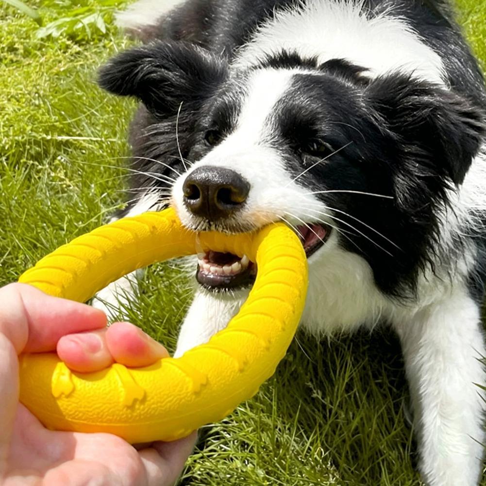 Прочная игрушка-кольцо для дре – обзор и цена Suction Cup Dog Tug Toy