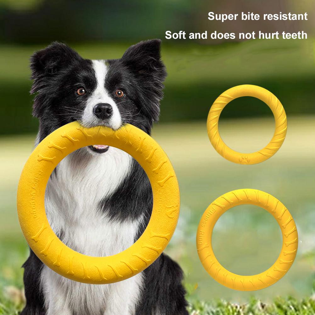 Прочная игрушка-кольцо для дре – обзор и цена Suction Cup Dog Tug Toy