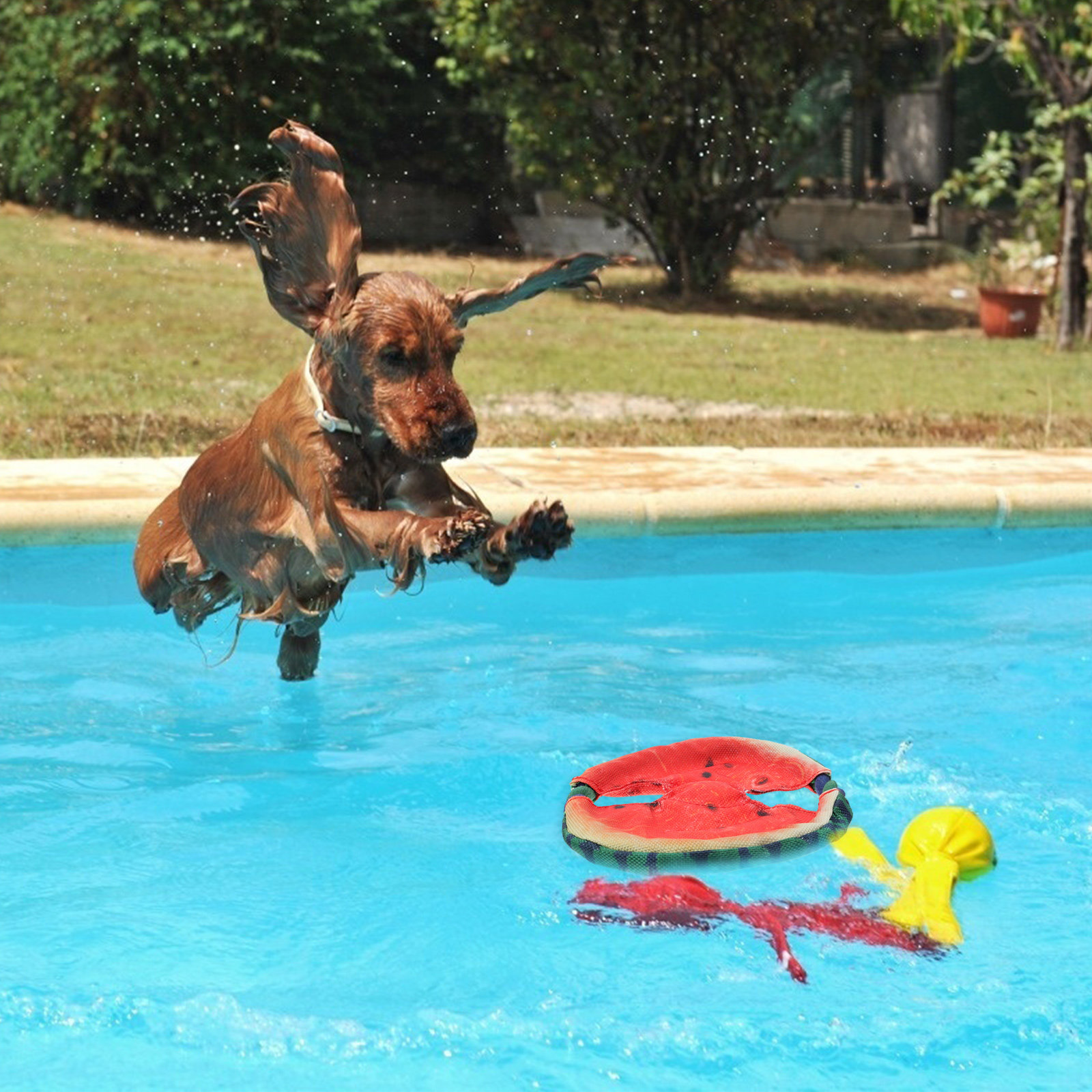 Летающий диск для собак в форм – обзор и цена Flying Disc Dog Training Toy