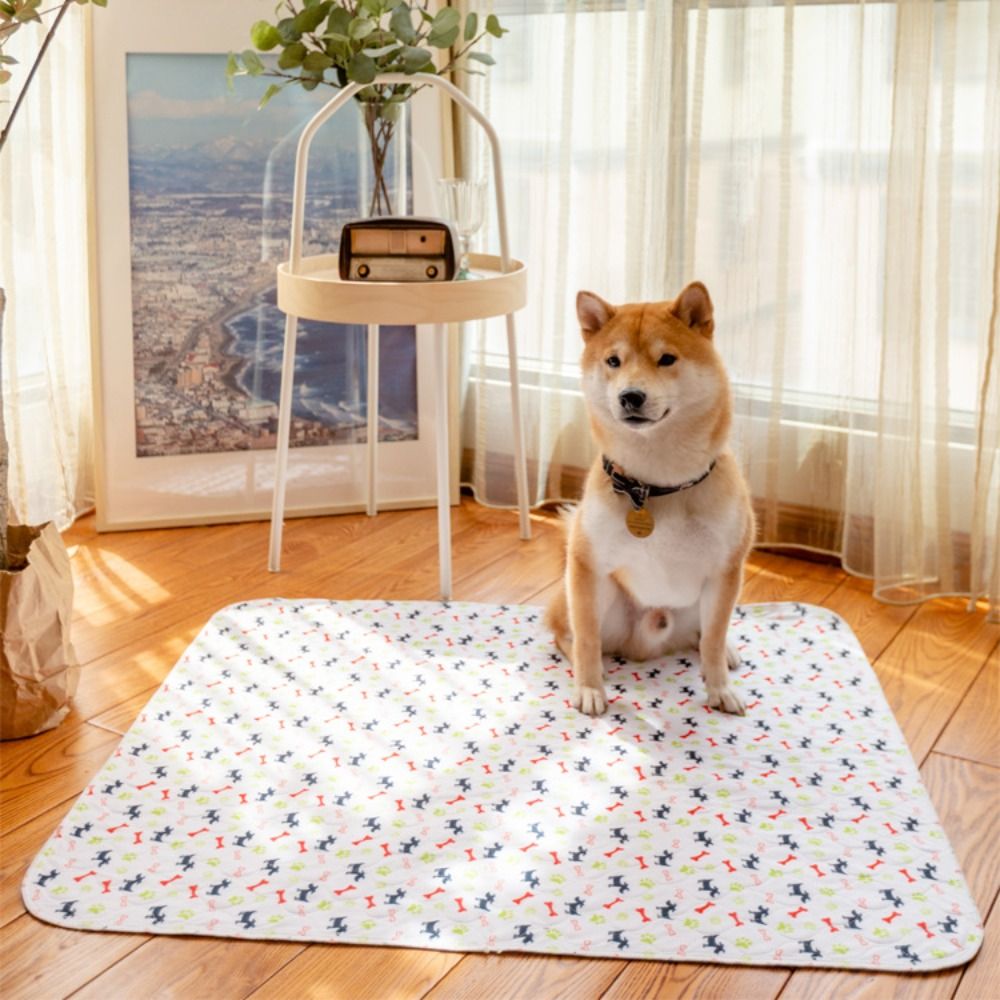 Прочный, супервпитывающий ковр – обзор и цена Pet Beds