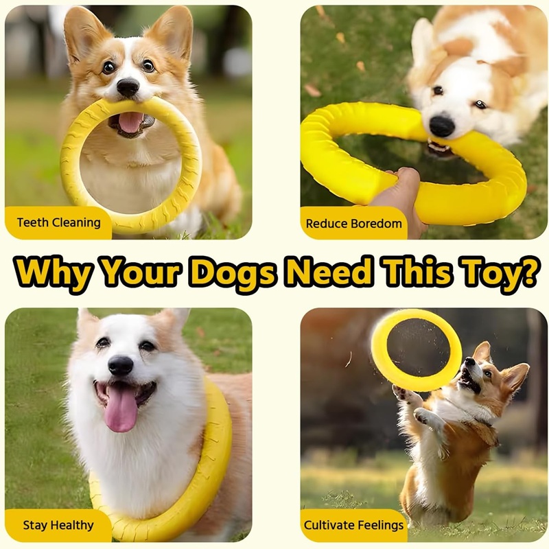 Игрушки для собак: летающие ди – обзор и цена Flying Disc Dog Training Toy