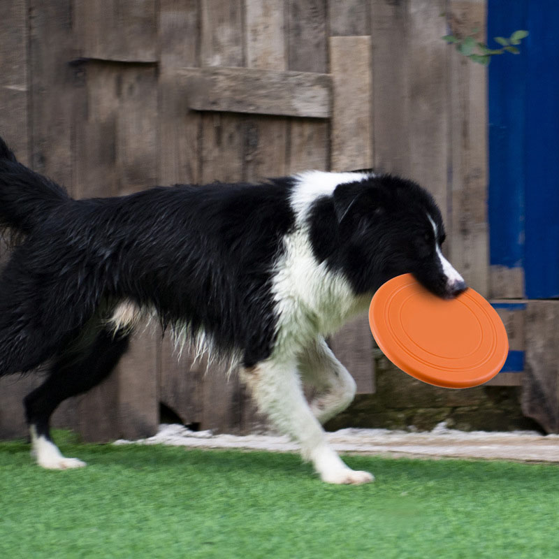 Силиконовая летающая тарелка,  – обзор и цена Flying Disc Dog Training Toy