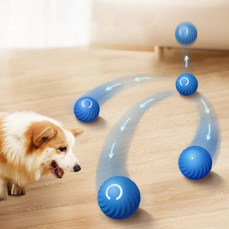 Игрушки для собак, интеллектуа – обзор и цена Suction Cup Dog Tug Toy
