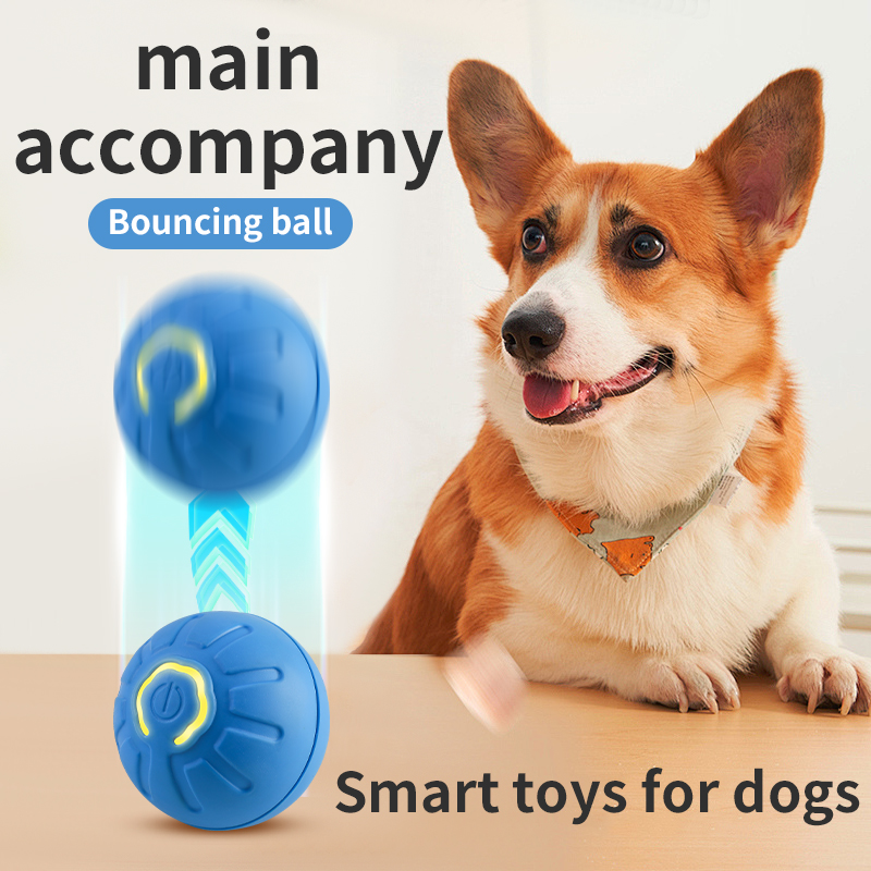 Автоматический движущийся игру – обзор и цена Automatic Moving Dog Ball