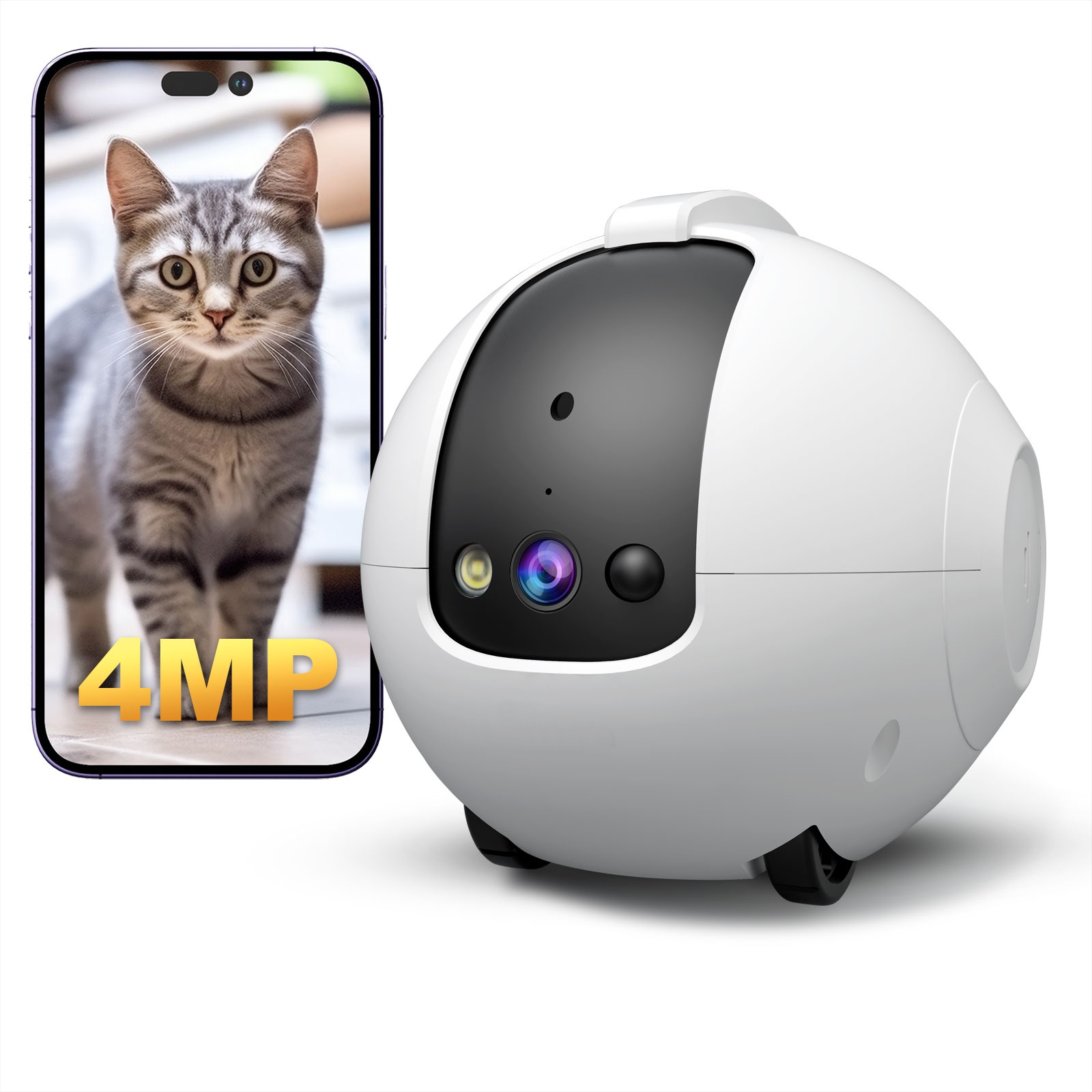 Робот-камера для домашних живо – обзор и цена Cat Toys